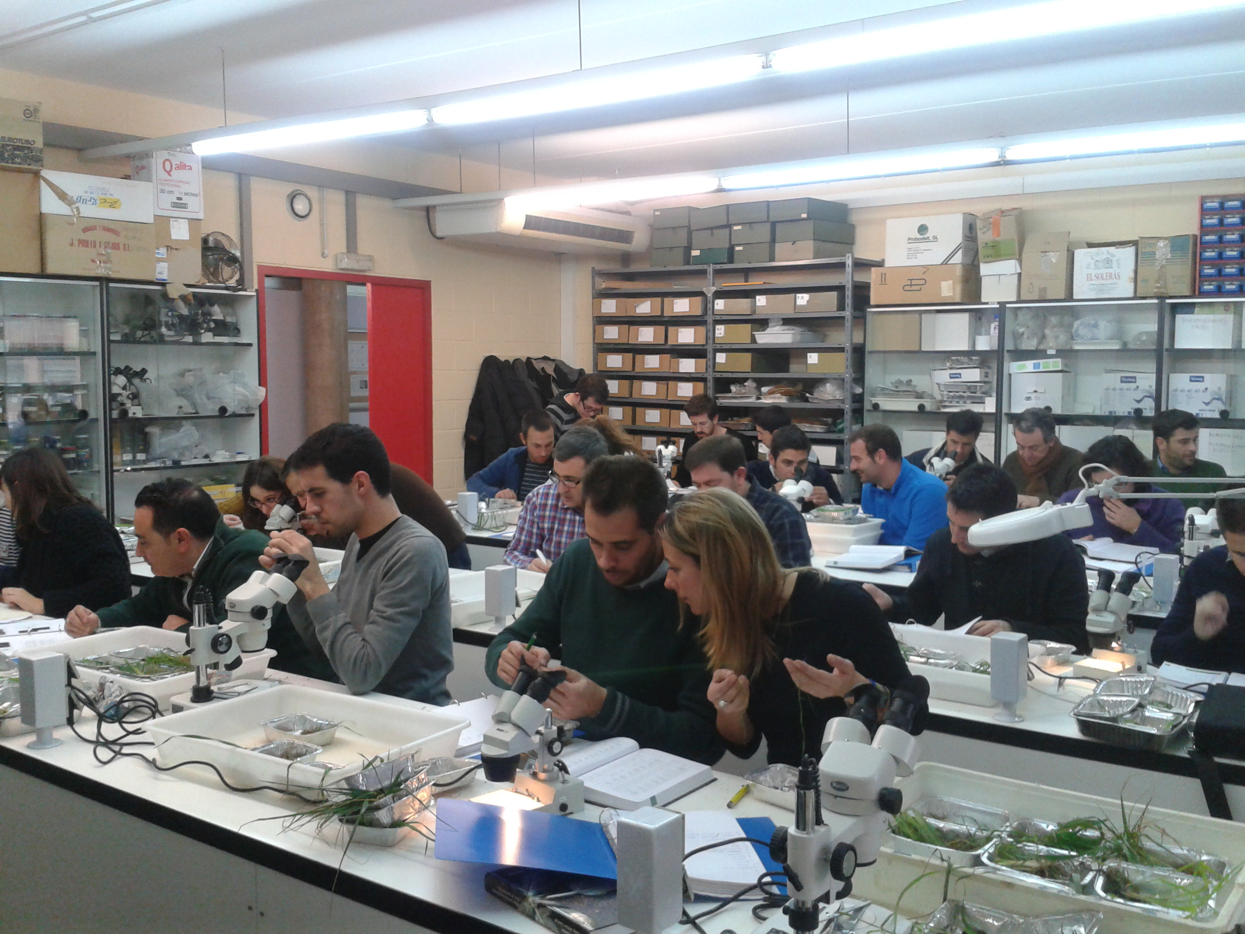 Cursos per empreses