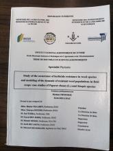Tesi doctoral Myriem Chtourou